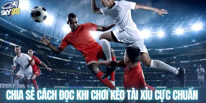 Chia sẻ cách đọc khi chơi kèo tài xỉu cực chuẩn