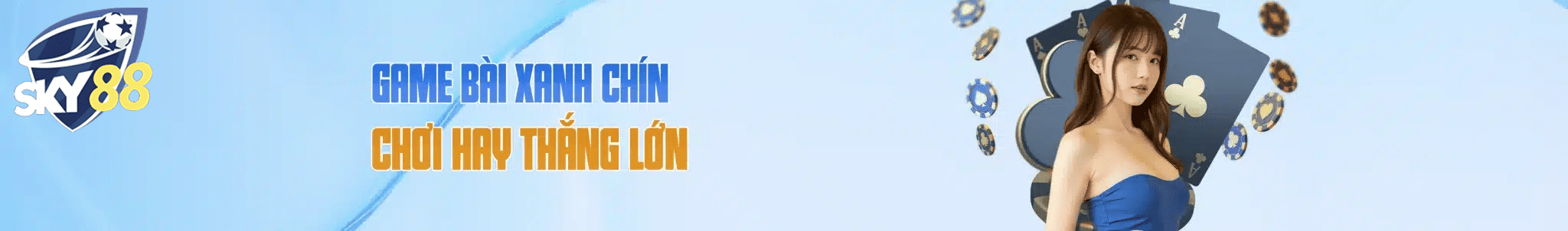 banner sky88